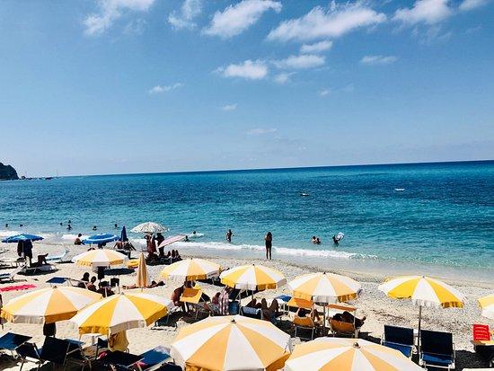 Ristorante del Lido Albatros